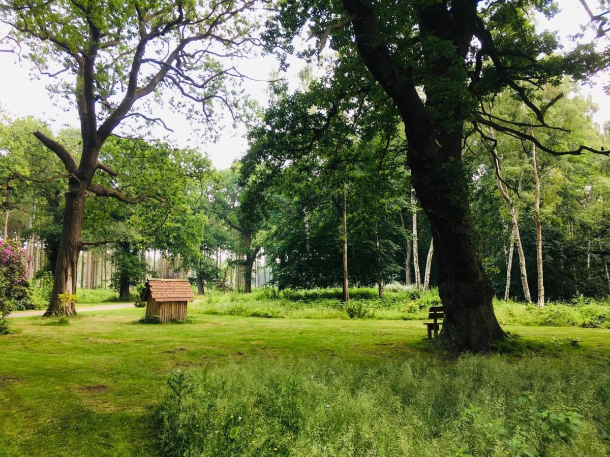 Hollicarrs Holiday Park - Hares Leap Riccall Exterior foto