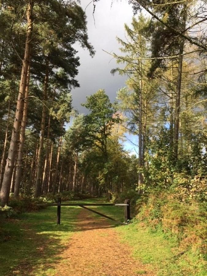 Hollicarrs Holiday Park - Hares Leap Riccall Exterior foto